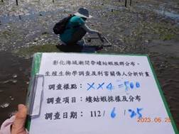 潮間帶螻蛄蝦穿越線族群量調查
